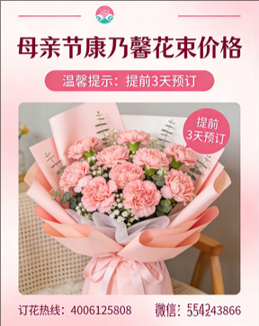 上海虹口区花店母亲节康乃馨花束