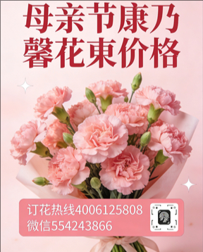 上海虹口区花店母亲节康乃馨花束